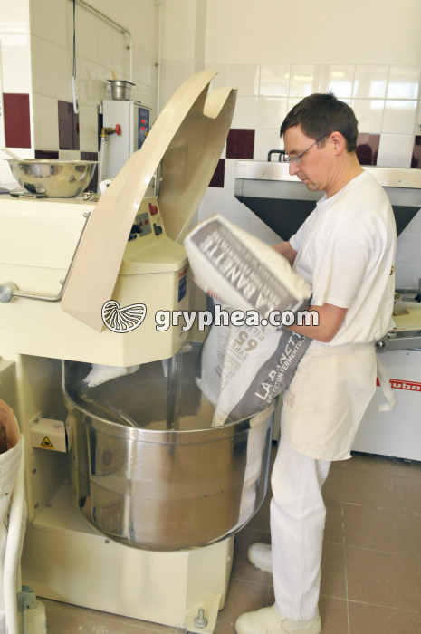 Versement de la farine dans le pétrin - gryphea.com